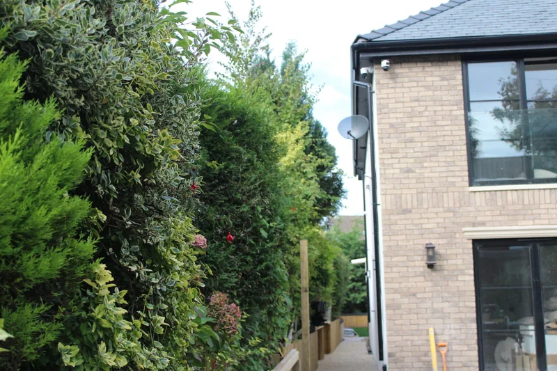 New satellite dish installed discreetly on the side wall